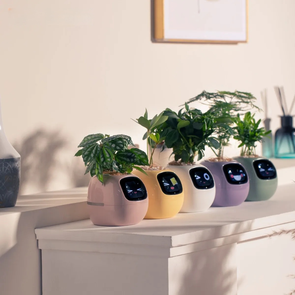 Smart Ivy Pot - Features