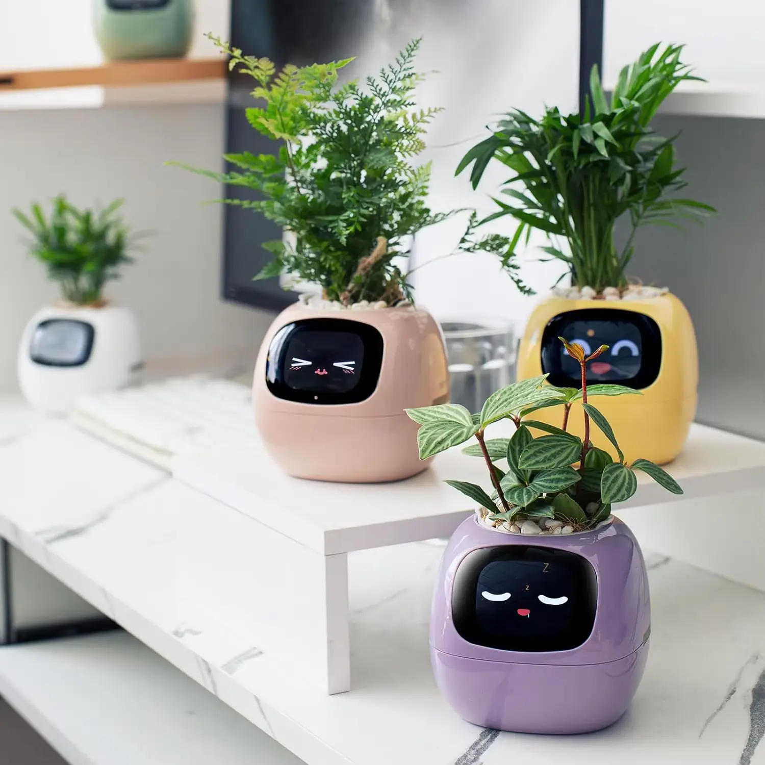 Smart Ivy Pot - Features