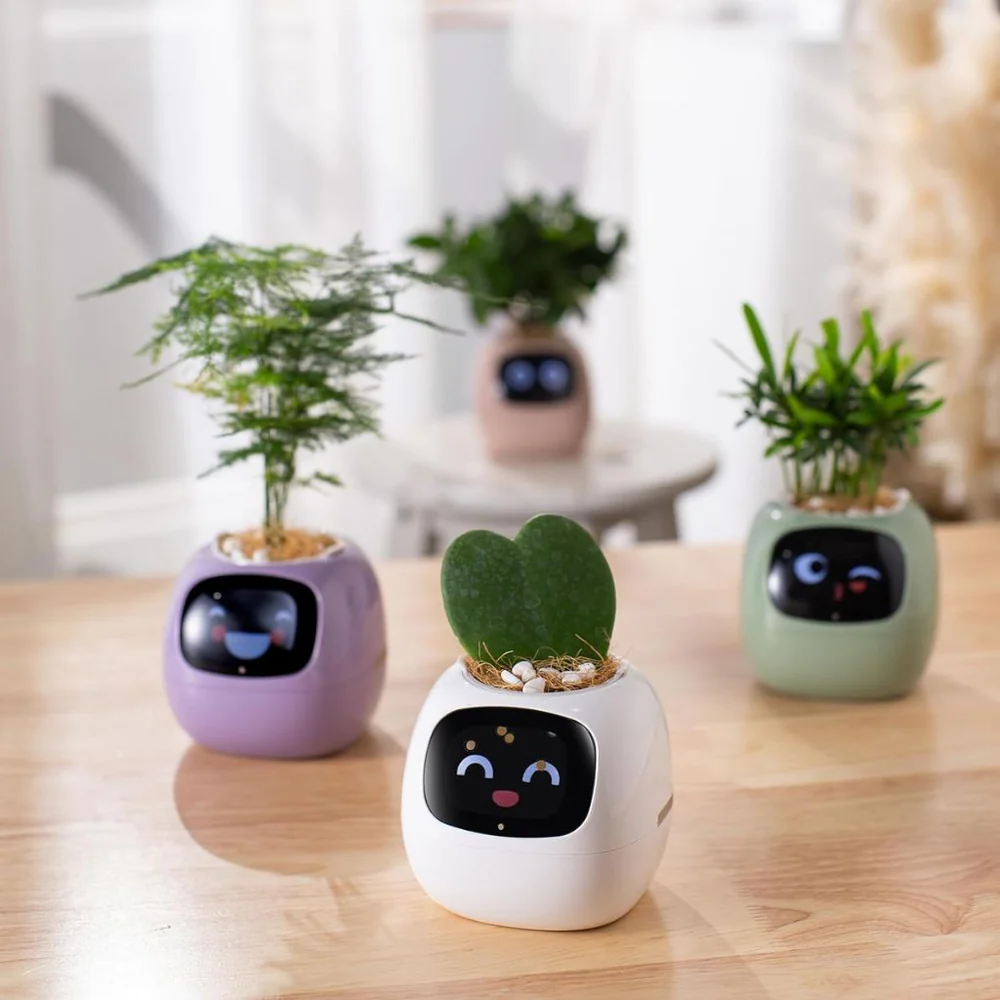 Smart Ivy Pot - Features