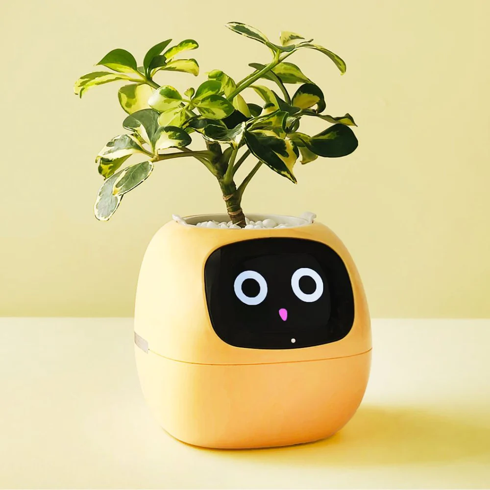 Smart Ivy Pot - Features