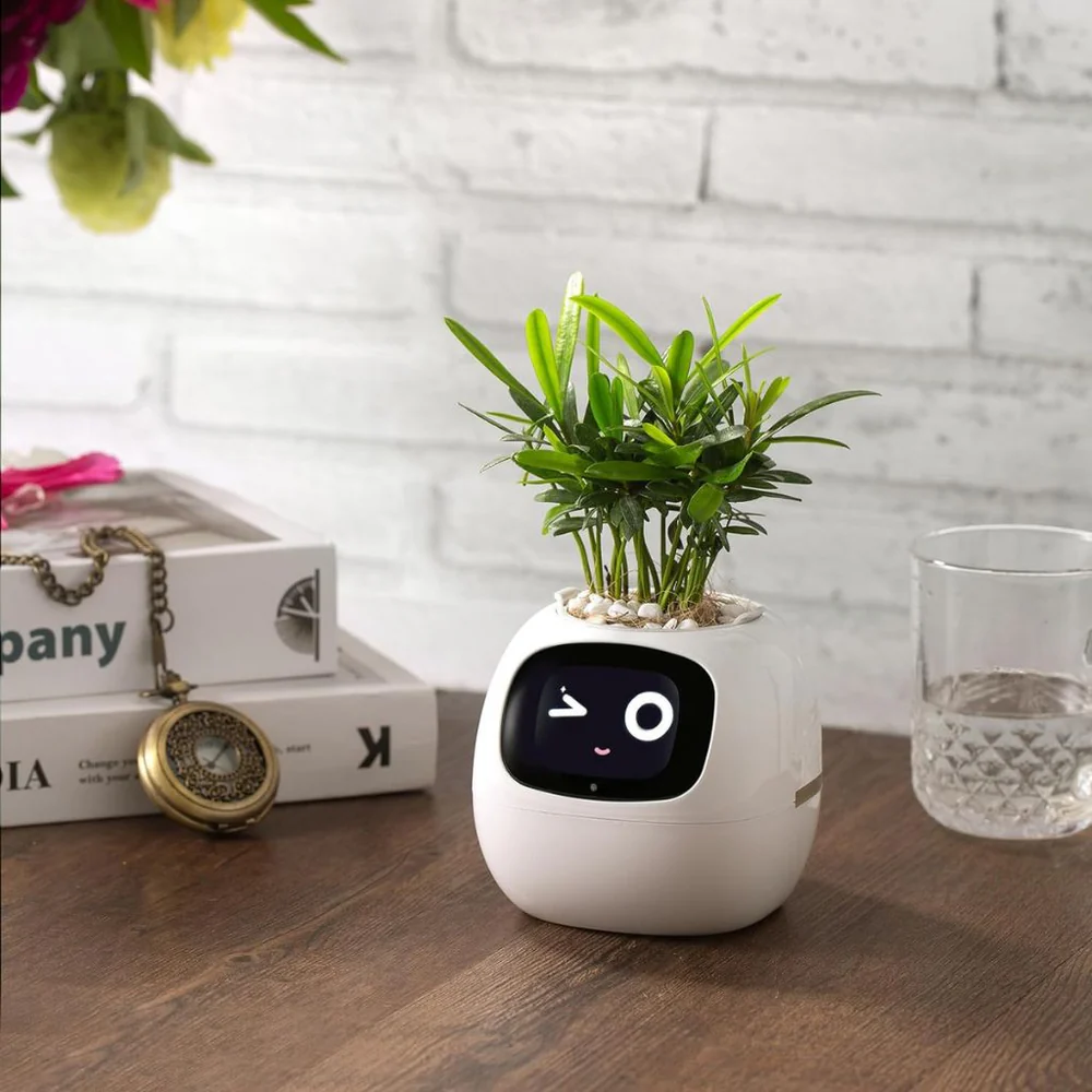 Smart Ivy Pot - Features