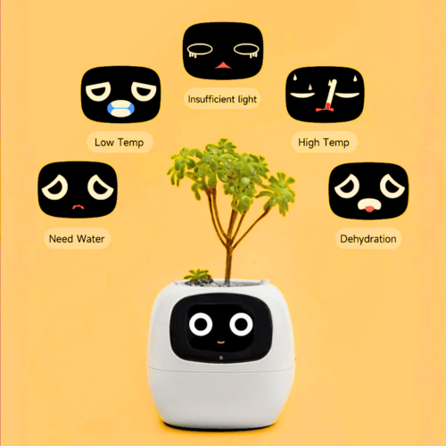 Ivy's Facial Expressions for Different Plant Needs