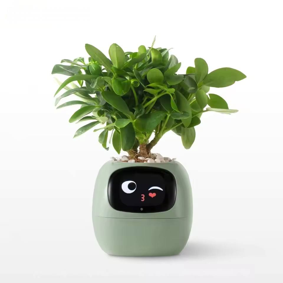 Smart Ivy Plant Pot - Green