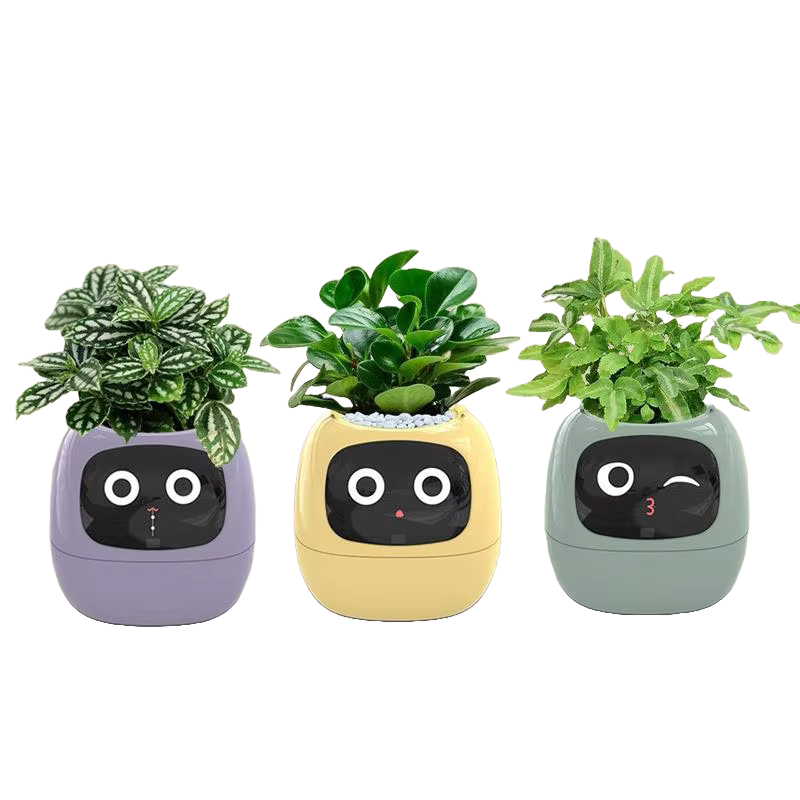Ivy Smart Plant Pot