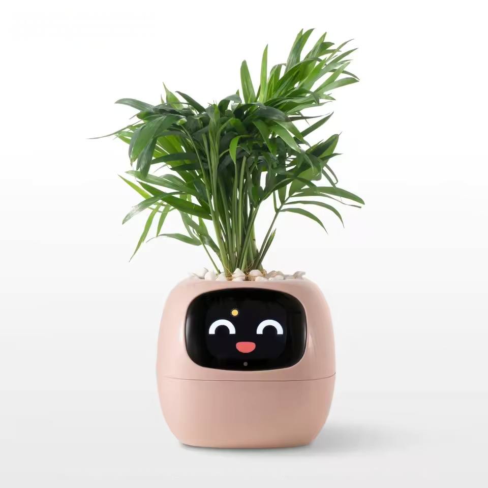 Pink Ivy Pot