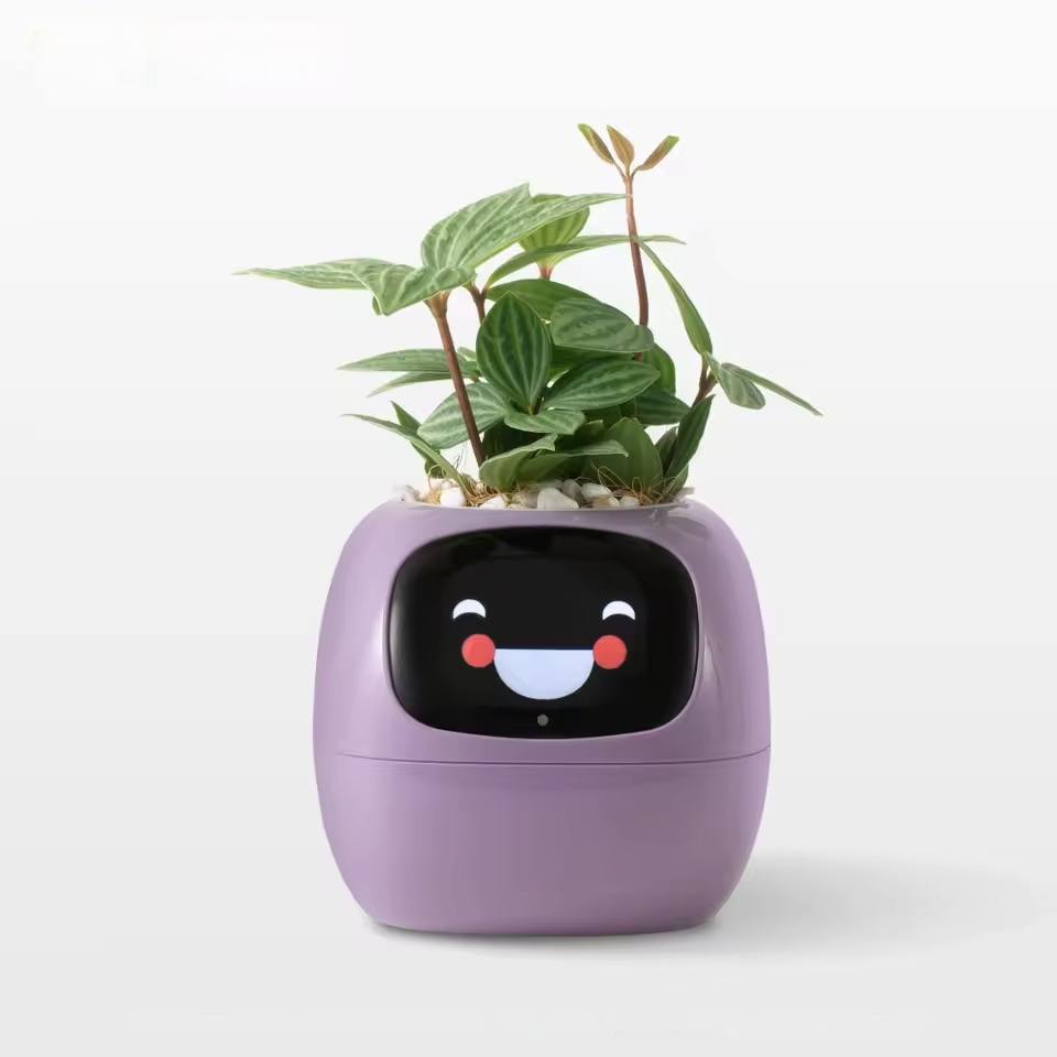 Purple Ivy Pot