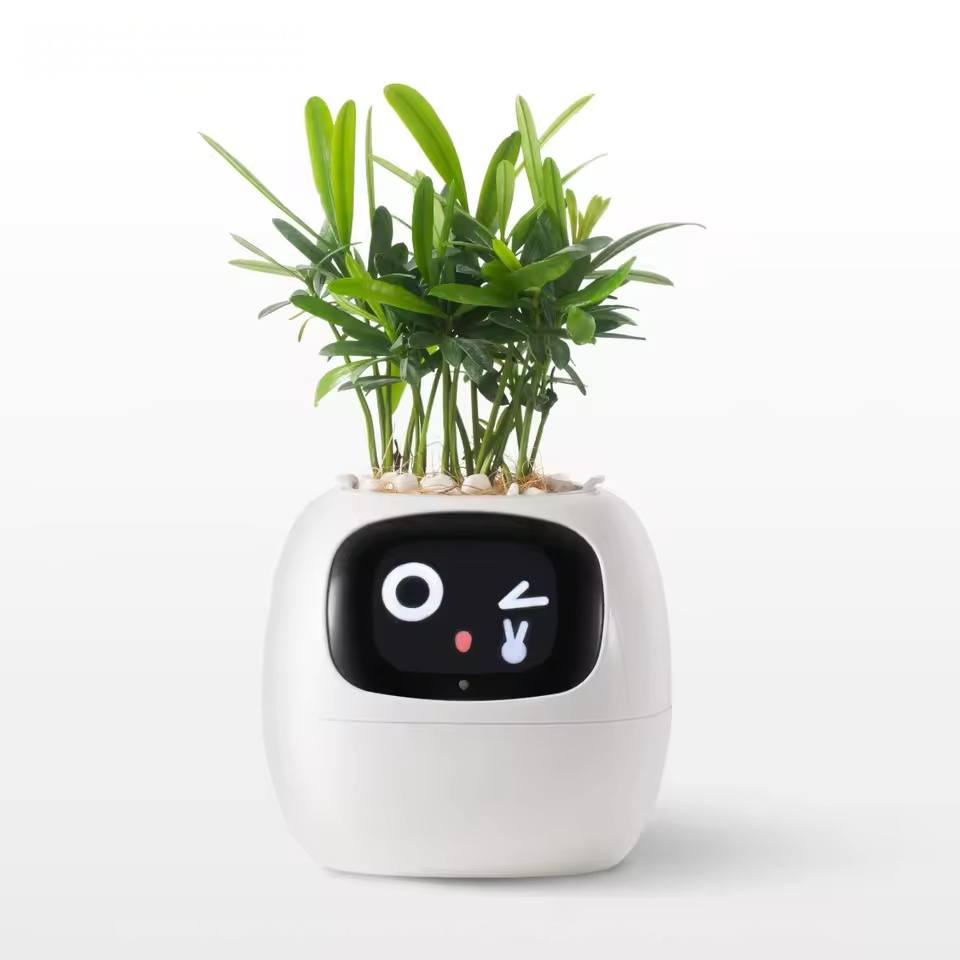 White Ivy Pot
